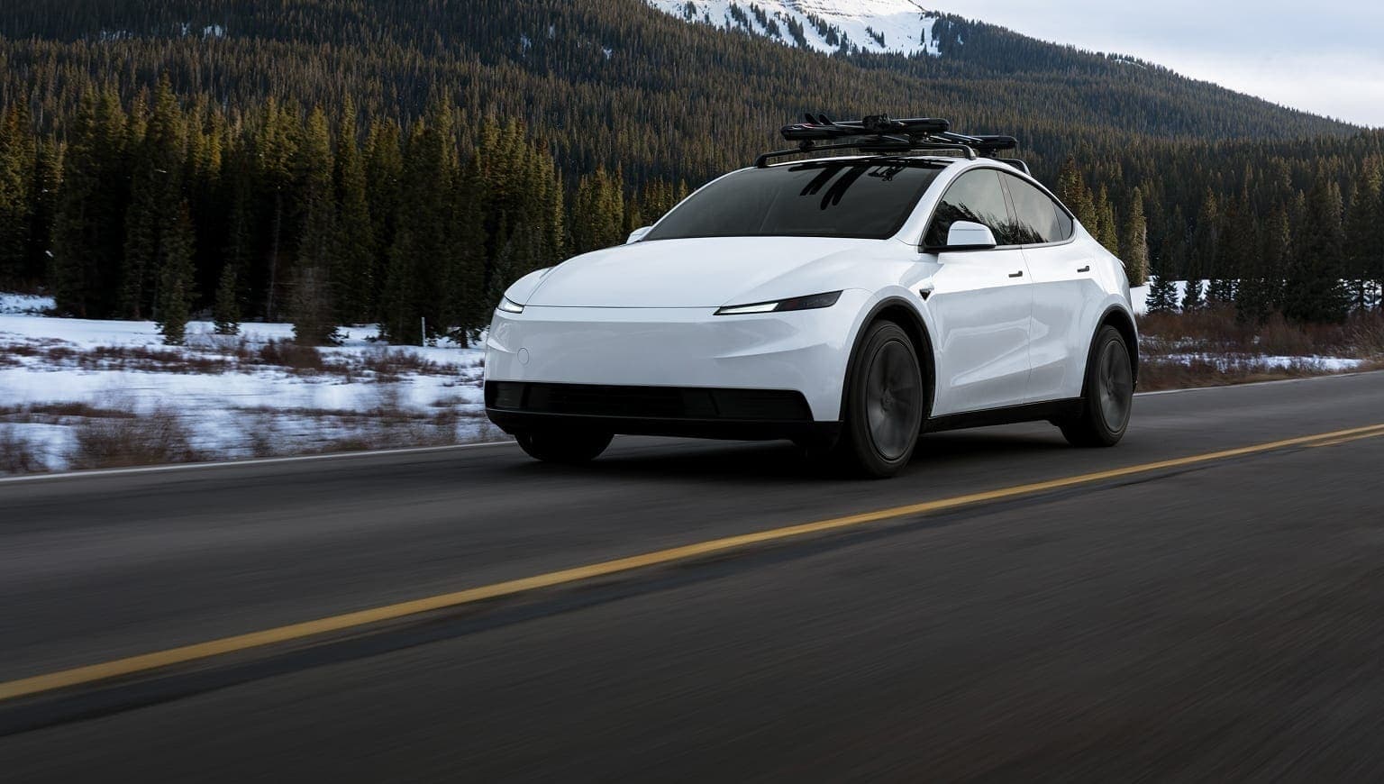 Model Y